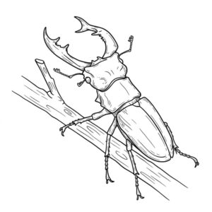 Free printable Sawtooth stag beetle coloring page