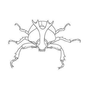 Free printable Japanese Rhinoceros Beetle (Male) 4 coloring page
