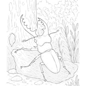 Free printable Miyama stag beetle coloring page