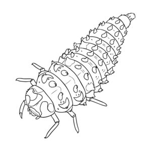 Free printable Seven-spot ladybird larva coloring page