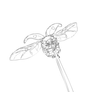 Free printable Seven-spot ladybird 3 adult coloring page