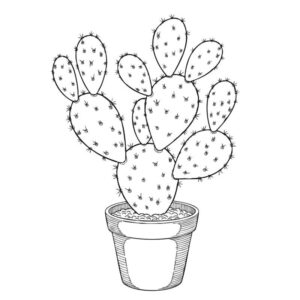 ウチワサボテンの無料塗り絵イラスト（知育・高齢者レク用）