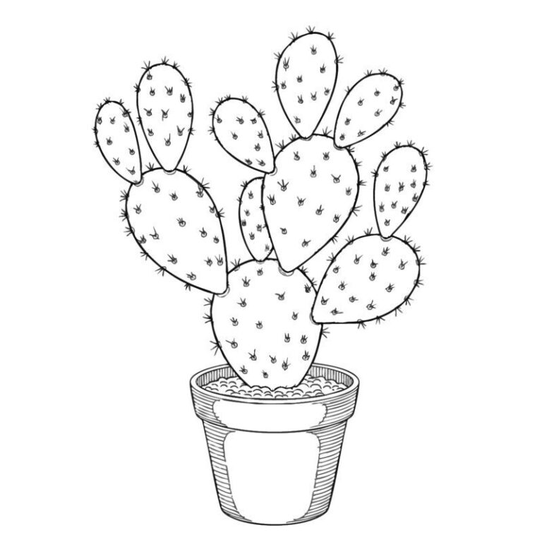 ウチワサボテンの無料塗り絵イラスト（知育・高齢者レク用）