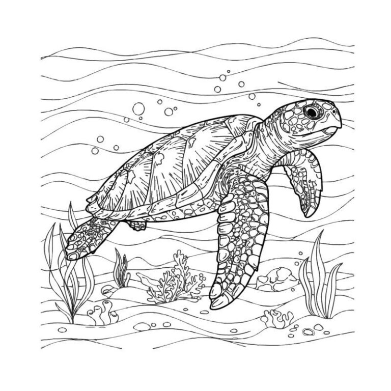 ウミガメの無料塗り絵イラスト（知育・高齢者レク用）
