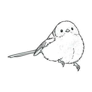 シマエナガ３の無料塗り絵イラスト（知育・高齢者レク用）