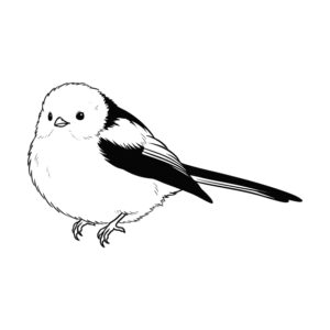 シマエナガ５の無料塗り絵イラスト（知育・高齢者レク用）