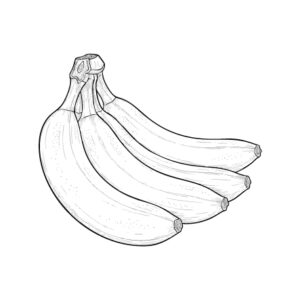 バナナの無料塗り絵イラスト（知育・高齢者レク用）