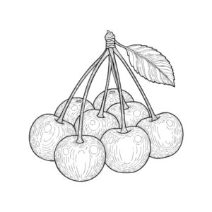 さくらんぼの無料塗り絵イラスト（知育・高齢者レク用）