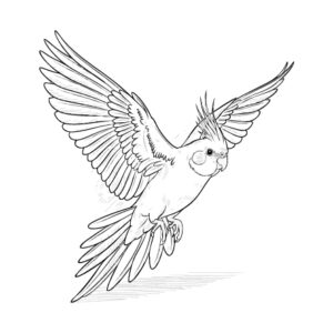 Free printable Cockatiel 2 coloring page