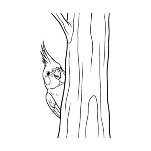 Free printable Cockatiel 3 coloring page