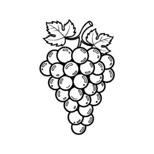 Free printable Grapes 2 coloring page