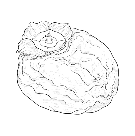 干し柿
