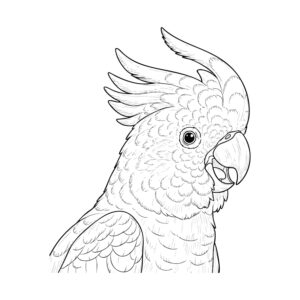 見つめているキバタンの無料塗り絵イラスト（知育・高齢者レク用）