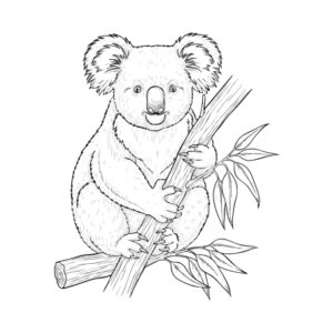 コアラの無料塗り絵イラスト（知育・高齢者レク用）