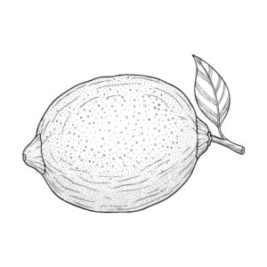 レモンの無料塗り絵イラスト（知育・高齢者レク用）