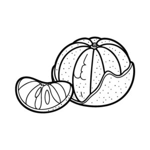 Free printable Mandarin orange 4 coloring page