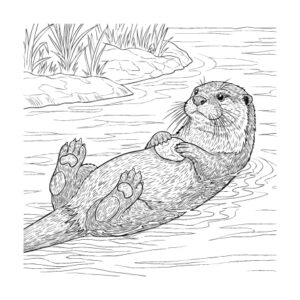 カワウソの無料塗り絵イラスト（知育・高齢者レク用）