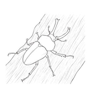 木に止まっているニジイロクワガタの無料塗り絵イラスト（知育・高齢者レク用）
