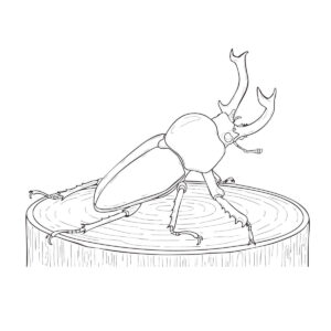 Free printable Rainbow stag beetle coloring page