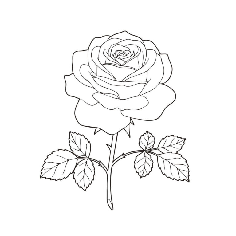 Free printable Rose coloring page