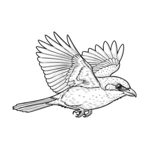 飛んでいる百舌の無料塗り絵イラスト（知育・高齢者レク用）