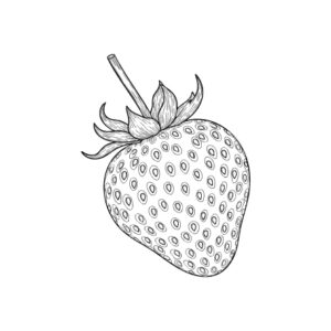 イチゴの無料塗り絵イラスト（知育・高齢者レク用）