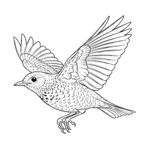 ツグミ２の無料塗り絵イラスト（知育・高齢者レク用）