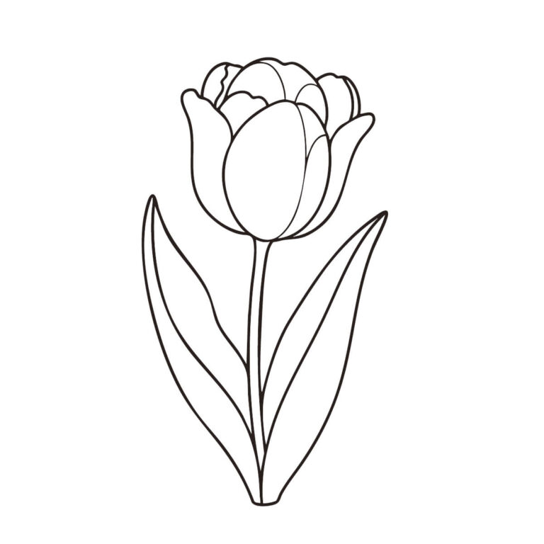 Free printable Tulip coloring page