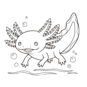 かわいいウーパールーパーの無料塗り絵イラスト（知育・高齢者レク用）