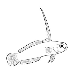 Free printable Firegoblin coloring page