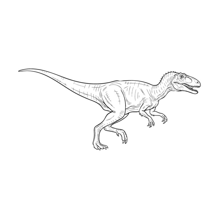 ヘレラサウルスの無料塗り絵イラスト（知育・高齢者レク用）