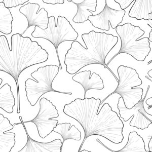 イチョウ４の無料塗り絵イラスト（知育・高齢者レク用）