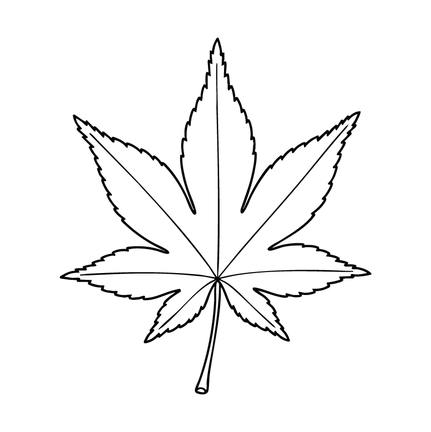 イロハモミジ