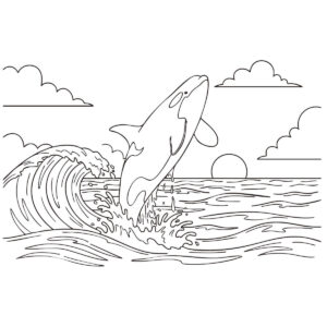 海で飛び跳ねるシャチの無料塗り絵イラスト（知育・高齢者レク用）
