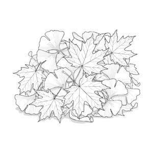 Free printable Momijigari (Autumn Leaf Viewing) coloring page