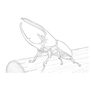 ネプチューンオオカブトの無料塗り絵イラスト（知育・高齢者レク用）
