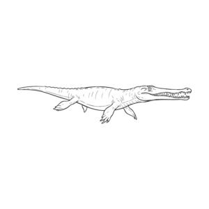 ノトサウルスの無料塗り絵イラスト（知育・高齢者レク用）