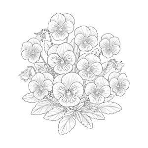 パンジー２の無料塗り絵イラスト（知育・高齢者レク用）