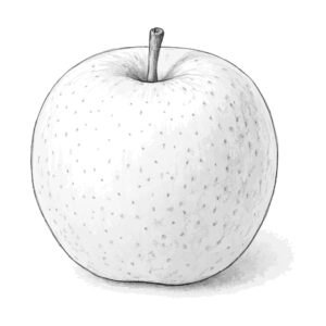 梨の無料塗り絵イラスト（知育・高齢者レク用）