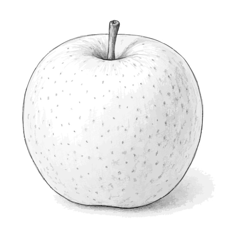 Free printable Asian pear coloring page