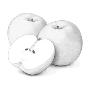 Free printable Pear 2 coloring page