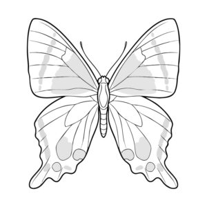 Free printable Agrias butterflies coloring page