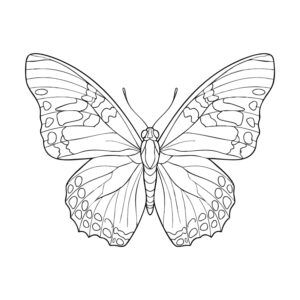 Free printable Fournier's Two-tailed Swallowtail coloring page