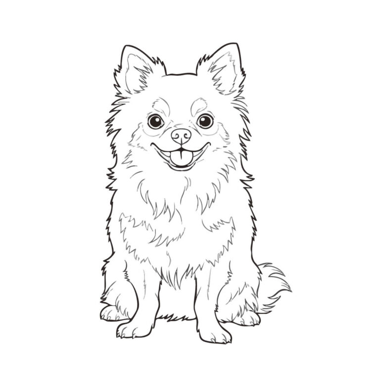 チワワの無料塗り絵イラスト（知育・高齢者レク用）