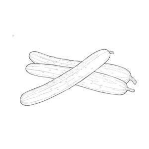 Free printable Cucumber coloring page