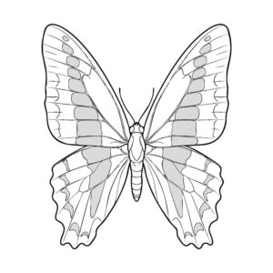 Free printable Common Bluebottle coloring page