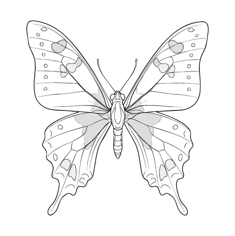 Free printable Graphium weiskei coloring page