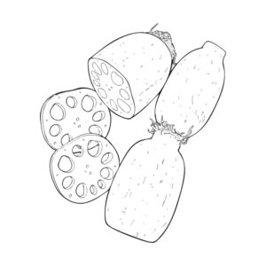 Free printable Lotus root coloring page