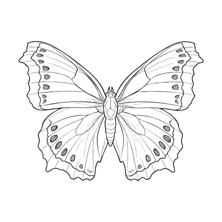Free printable Mourning cloak coloring page