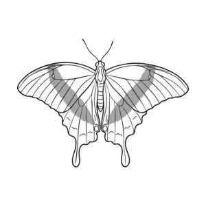 Free printable Blue Mountain Swallowtail coloring page